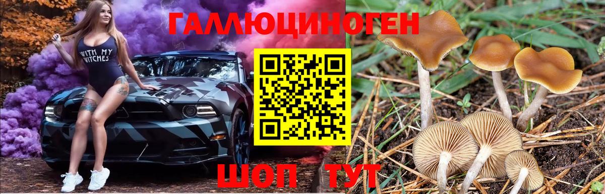 Галлюциногенные грибы GOLDEN TEACHER Красноармейск